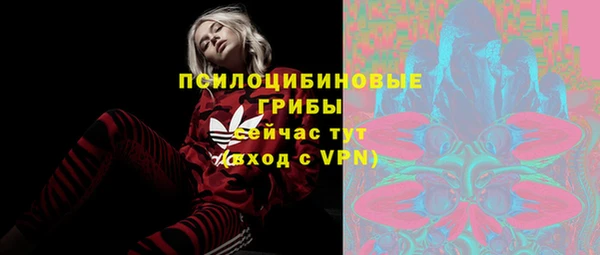 прущие крисы Алексин