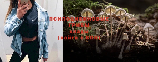 прущие крисы Алексин