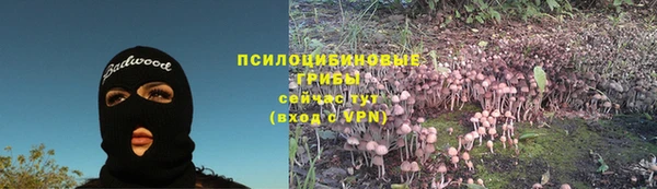 прущие крисы Алексин