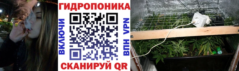 закладка  Тихвин  нарко площадка клад  Бошки марихуана ГИДРОПОН 